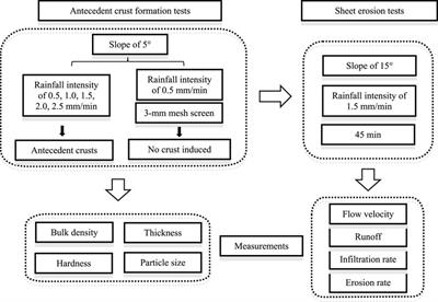 Response of Sheet Erosion to the Characteristics of Physical Soil Crusts for Loessial Soils